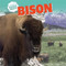 Bison - 9781508142898 by David Anthony, 9781508142898