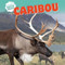 Caribou - 9781508142911 by Joyce Jeffries, 9781508142911