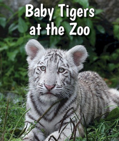 Baby Tigers at the Zoo by Cecelia H. Brannon, 9780766075597