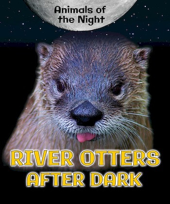 River Otters After Dark by Heather Moore Niver, 9780766077027