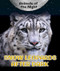 Snow Leopards After Dark by Heather Moore Niver, 9780766077089