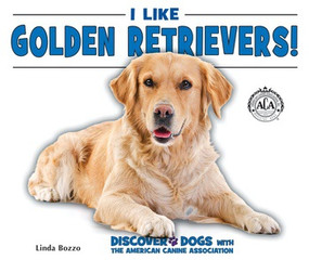 I Like Golden Retrievers! by Linda Bozzo, 9780766077768
