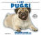 I Like Pugs! by Linda Bozzo, 9780766077874