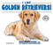 I Like Golden Retrievers! - 9780766077898 by Linda Bozzo, 9780766077898
