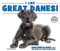 I Like Great Danes! - 9780766077928 by Linda Bozzo, 9780766077928