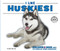 I Like Huskies! - 9780766077973 by Linda Bozzo, 9780766077973