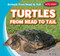 Turtles from Head to Tail by Jen Trifer, 9781482445404