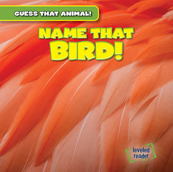 Name That Bird! by Demi Jackson, 9781482447422