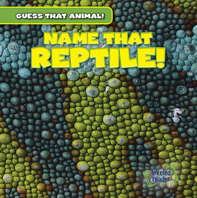 Name That Reptile! by Santana Hunt, 9781482447477