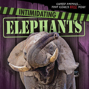 Intimidating Elephants by Mary Molly Shea, 9781482449129