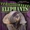 Intimidating Elephants by Mary Molly Shea, 9781482449129