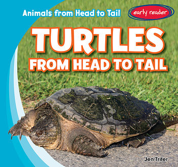 Turtles from Head to Tail - 9781482449570 by Jen Trifer, 9781482449570