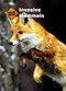 Invasive Mammals by Susan Schafer, 9781502618320
