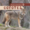 Coyotes - 9781499420173 by Harper Avett, 9781499420173