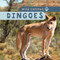 Dingoes - 9781499420210 by Elaine McKinnon, 9781499420210