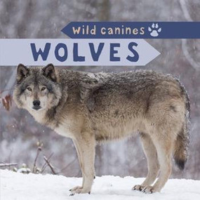 Wolves - 9781499420258 by Holden Strauss, 9781499420258