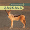 Jackals - 9781499420296 by David Lee, 9781499420296