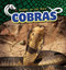 Cobras - 9781499421965 by Dennis Rudenko, 9781499421965