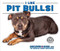 I Like Pit Bulls! by Linda Bozzo, 9780766081574