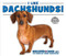 I Like Dachshunds! by Linda Bozzo, 9780766081611