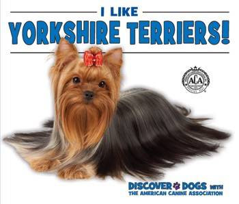 I Like Yorkshire Terriers! by Linda Bozzo, 9780766081659