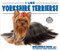 I Like Yorkshire Terriers! by Linda Bozzo, 9780766081659
