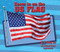 Zoom in on the U.S. Flag - 9780766084605 by Cecelia H. Brannon, 9780766084605