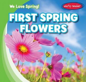 First Spring Flowers by Stanley Hollow, 9781482454895