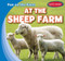 At the Sheep Farm by Bruce Esseltine, 9781482455328