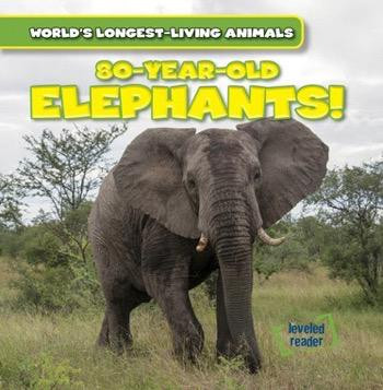80-Year-Old Elephants! by Leonard Atlantic, 9781482456097
