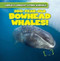 200-Year-Old Bowhead Whales! by Leonard Atlantic, 9781482456318
