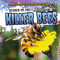 Attack of the Killer Bees by Emily Mahoney, 9781482456608