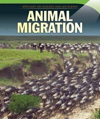Animal Migration - 9781499425826 by Holden Strauss, 9781499425826
