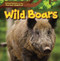 Wild Boars - 9781499429251 by Harper Avett, 9781499429251