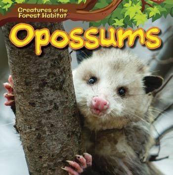 Opossums - 9781499429282 by Ada Quinlivan, 9781499429282