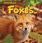 Foxes - 9781499429299 by David Lee, 9781499429299