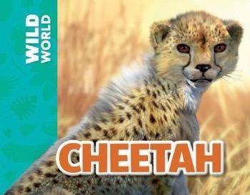 Cheetah - 9781499482041 by Meredith Costain, Mick Posen, 9781499482041