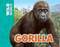 Gorilla - 9781499482102 by Meredith Costain, Stuart Jackson-Carter, 9781499482102