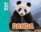 Panda - 9781499482218 by Meredith Costain, Stuart Jackson-Carter, 9781499482218