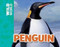 Penguin - 9781499482249 by Meredith Costain, Gary Hanna, 9781499482249