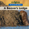 A Beaver's Lodge by Erika de Nijs, 9781502620675