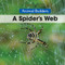 A Spider's Web by Erika de Nijs, 9781502620712