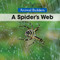 A Spider's Web - 9781502620736 by Erika de Nijs, 9781502620736