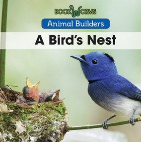 A Bird's Nest by Niles Worthington, 9781502620804