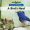 A Bird's Nest by Niles Worthington, 9781502620804