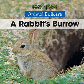 A Rabbit's Burrow by Niles Worthington, 9781502620866