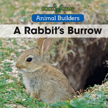 A Rabbit's Burrow by Niles Worthington, 9781502620866