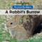A Rabbit's Burrow by Niles Worthington, 9781502620866