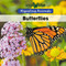 Butterflies - 9781502620903 by B. J. Best, 9781502620903