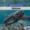 Salmon - 9781502621047 by B. J. Best, 9781502621047